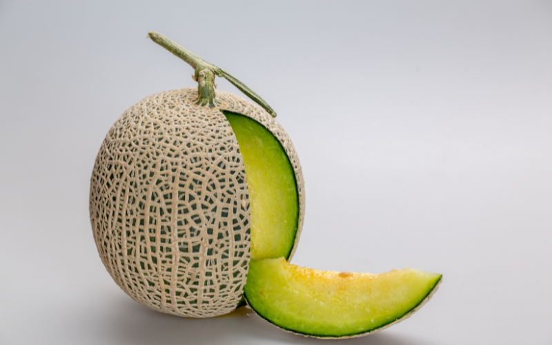 Honeydew Melon
